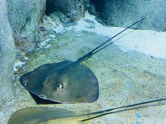 -福州罗源湾海洋世界旅游区