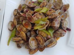酱爆洋白菜-渔民船说·北塘海鲜·天津菜·海肠捞饭(北塘古镇店)