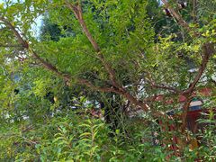 -龙口南山旅游景区