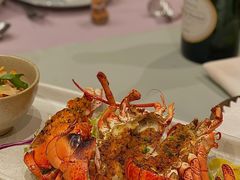 焗烤鲜活小波龙-EN SPACE恩空间