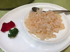 清炒野生虾仁-大方圆酒楼(西门大街店)