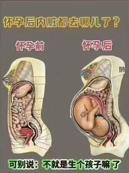 -半岛故事·法儿曼抗衰·indiba中心