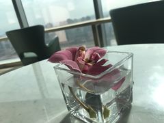 -三迪希尔顿酒店·星空酒廊