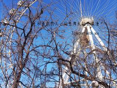 -富斯特索道