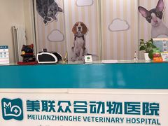 -美联众合爱康动物医院•复杂内科•肿瘤科•牙科•腔镜诊疗中心