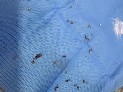 -维乐口腔(格林门诊长宁店)