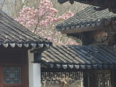 -江宁织造博物馆