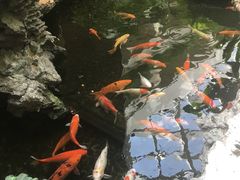 -白天鹅宾馆·流浮阁咖啡厅