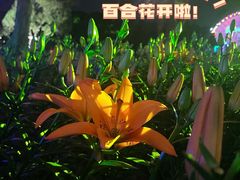 -无锡梅园公园