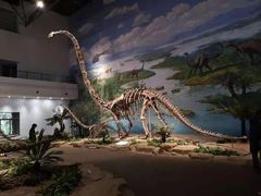 -自贡恐龙博物馆