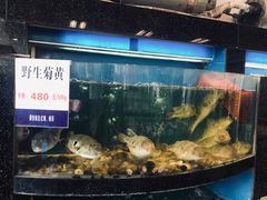 水产区-莆鑫海鲜城(浏河店)