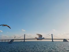 -星海广场