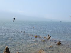 -长岛南北长山旅游景区