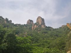 -大岭沟猕猴桃谷风景区