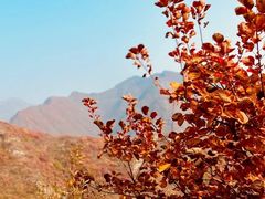 -周口店坡峰岭风景区