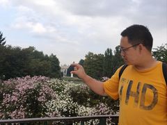 -斯福尔扎古堡