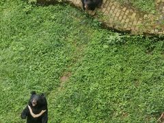 -贵州森林野生动物园