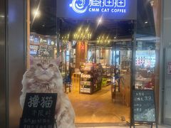 -藏猫猫咖啡主题馆(中央大道店)