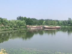 -东郊湿地公园