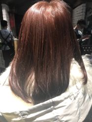 -salon漫