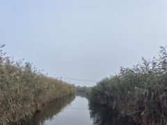 -白洋淀景区