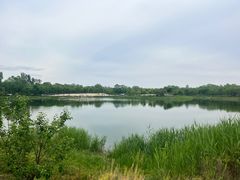-东郊湿地公园