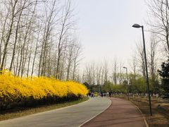 -奥林匹克森林公园北园-停车场