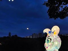-广西壮族自治区药用植物园