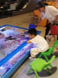 -卡通尼·Safari非洲探索乐园·生日会(金桥国际商业广场店)