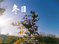 -苏州太湖国家湿地公园