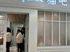 -安格丽娜·狗咖·猫咖羊驼咖(春熙路百盛商场店)