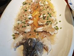 金蒜蒸鲜鲈鱼-古南都·老广东酒楼(龙江店)