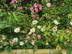 -重庆雨台山风景区