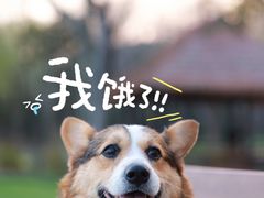 -高子水居