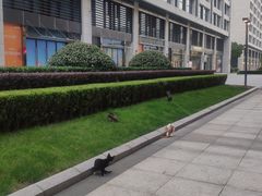 -浦江城市生活广场(江月路店)