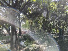 -成都市活水公园