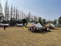 -前小桔亲子创意农场·草莓采摘·露营烧烤