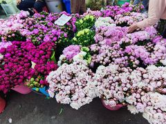 -循礼门鲜花花市(武汉循礼门店)