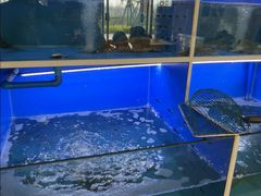 -阿尔法海鲜排档(爱琴海店)