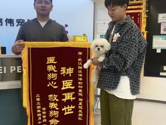 -伟伟宠物医院·瑞派猫友好医院·猫科(光谷店)
