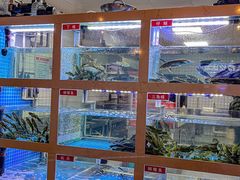 -石锅苗苗鱼(武汉首店)