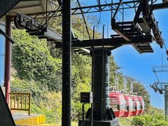 -沂蒙山旅游区云蒙景区(蒙山国家森林公园)