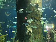 -福州罗源湾海洋世界旅游区