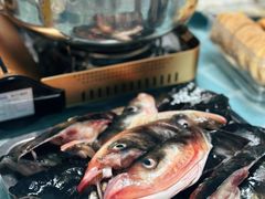 大头鱼鱼头火锅-石岐乳鸽村(桥观坊南四巷店)