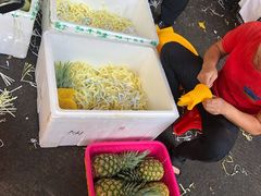 -三亚新鸿港水果一级批发市场