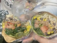 -油梨树AVOCADO TREE(顺义新国展店)