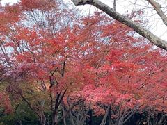 -八大关景区