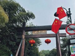-阿巧茶庄