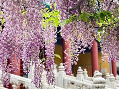 -北京国子监胡同