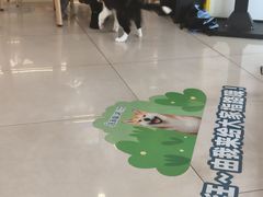 -艾贝尔宠物医院 ·中兽医·宠保定点(北门桥店)